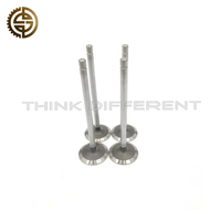 Engine Intake Valve Replacement 5308264